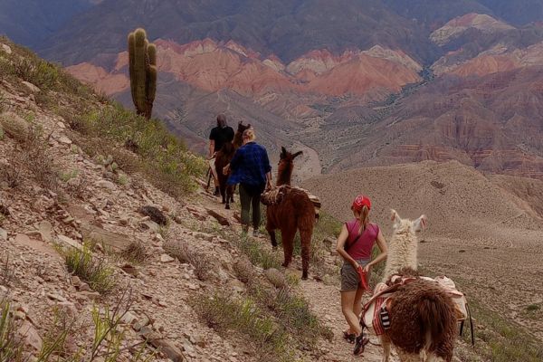 Caravana de Llamas